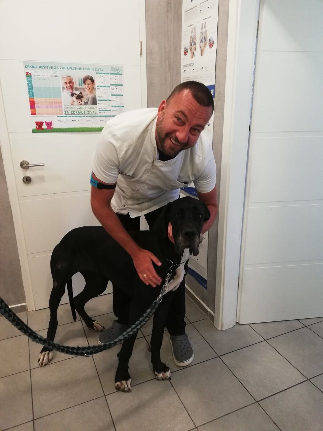 Veterinar z velikim psom v ambulanti