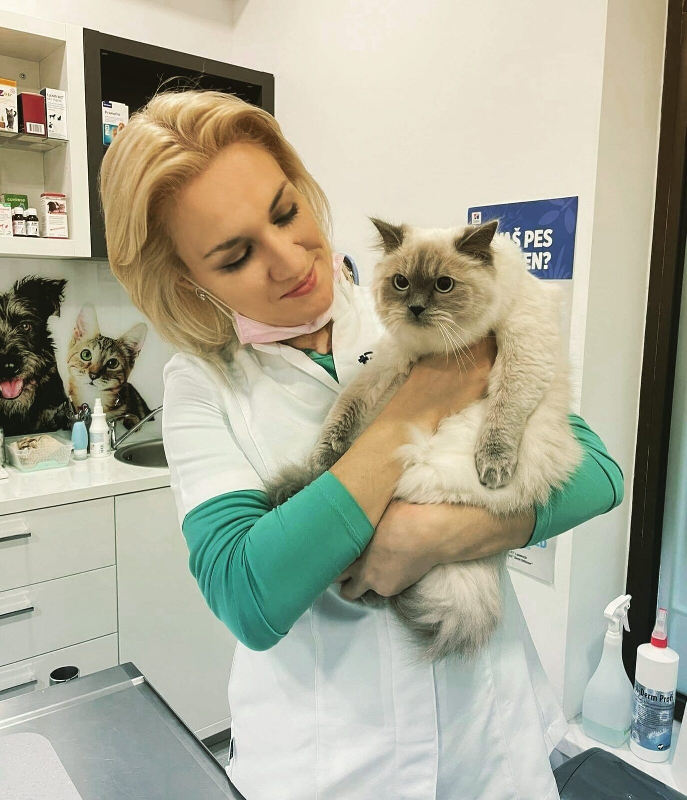 Veterinarka drži mačko